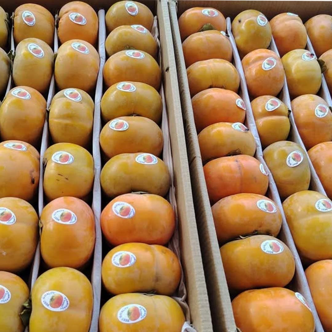 প্রিমিয়াম ফ্রেশ পারসিমন 2kg -1